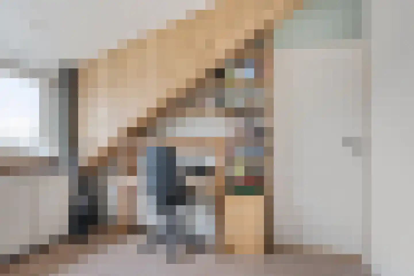 Kuinremeen 1 Harderwijk thumbnail 36