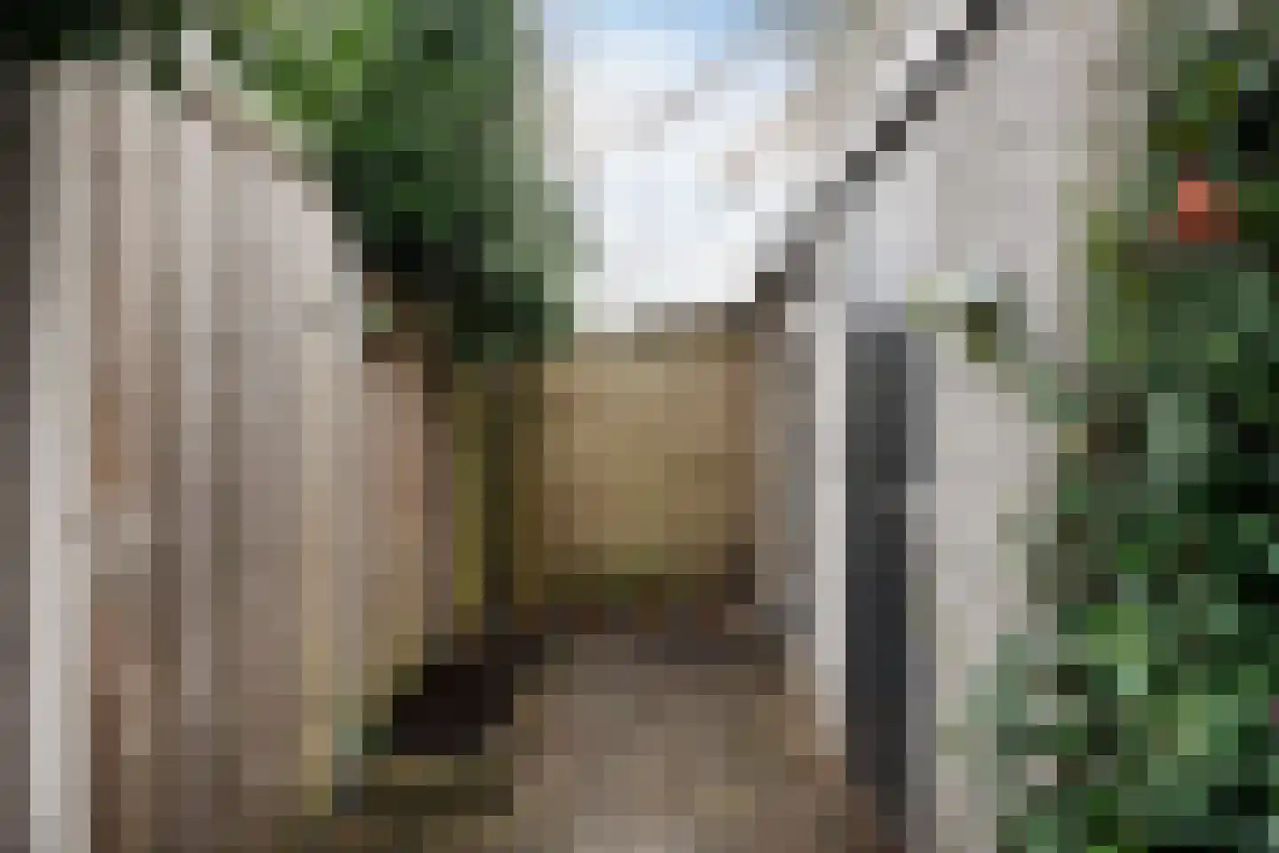 Kuinremeen 1 Harderwijk thumbnail 40