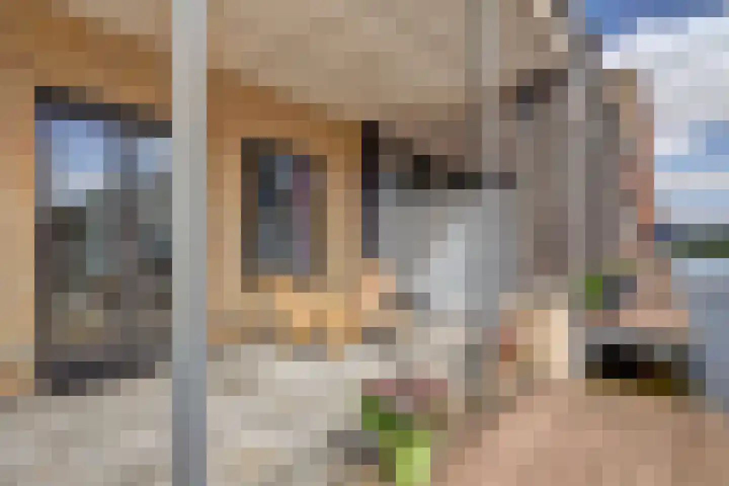 Kuinrestraat 37 Amersfoort thumbnail 17