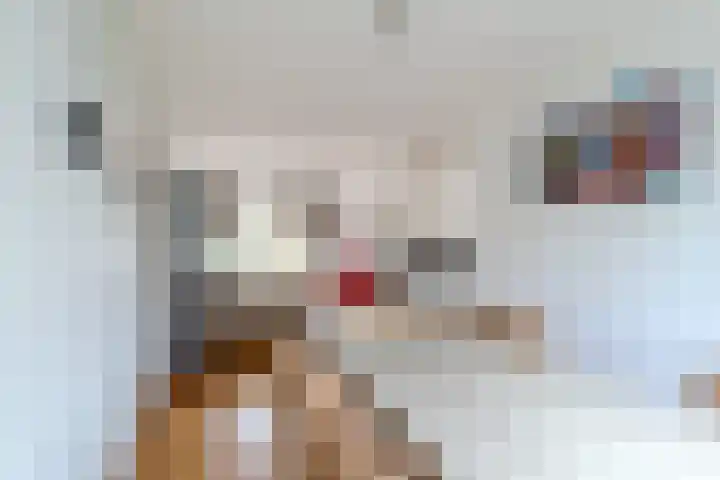 Kuinrestraat 7 Den Haag thumbnail 13