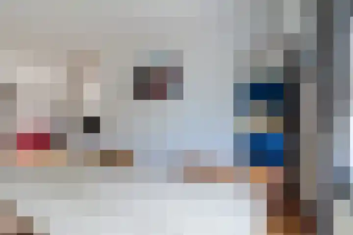 Kuinrestraat 7 Den Haag thumbnail 14