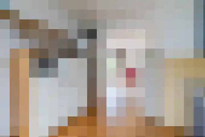 Kuinrestraat 7 Den Haag thumbnail 17