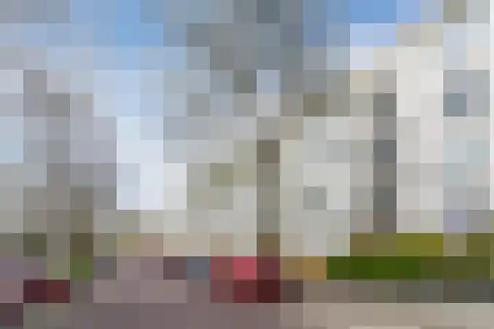 Kuinrestraat 7 Den Haag thumbnail 29