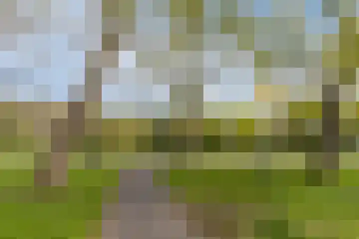 Kuinrestraat 7 Den Haag thumbnail 31