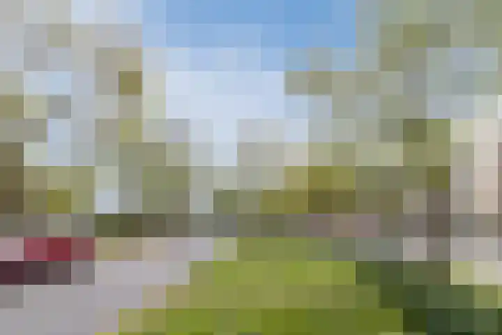 Kuinrestraat 7 Den Haag thumbnail 32