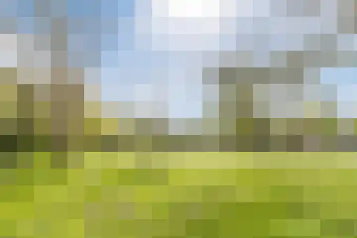 Kuinrestraat 7 Den Haag thumbnail 33