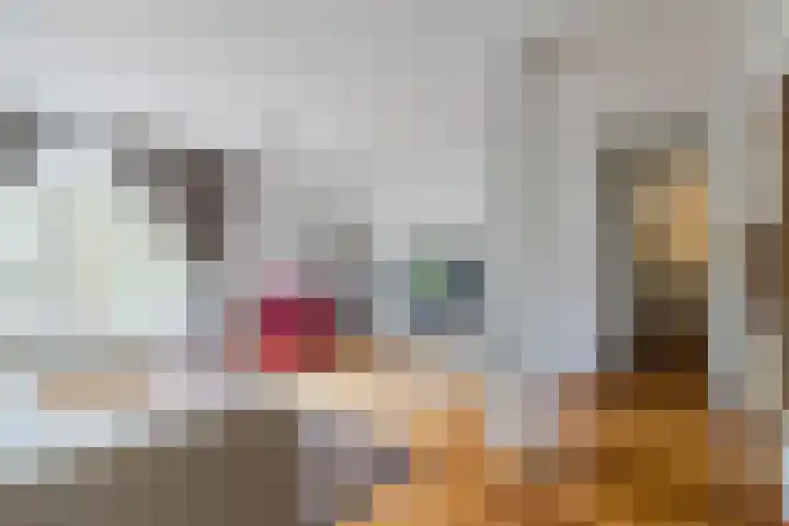 Kuinrestraat 7 Den Haag thumbnail 9