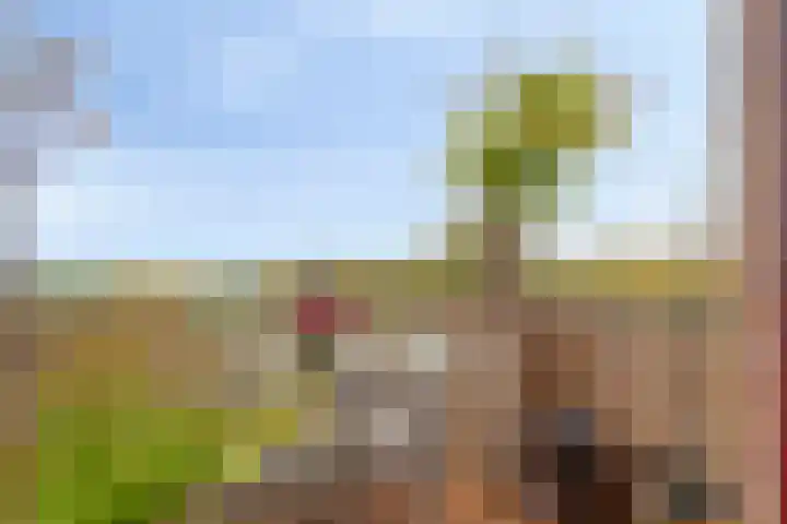 Kuinrestraat 9 Amersfoort thumbnail 18