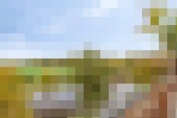 Kuinrestraat 9 Amersfoort thumbnail 20