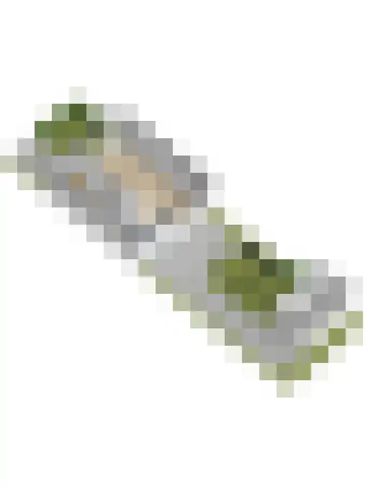 Kuiperberg 5 Zoetermeer thumbnail 45