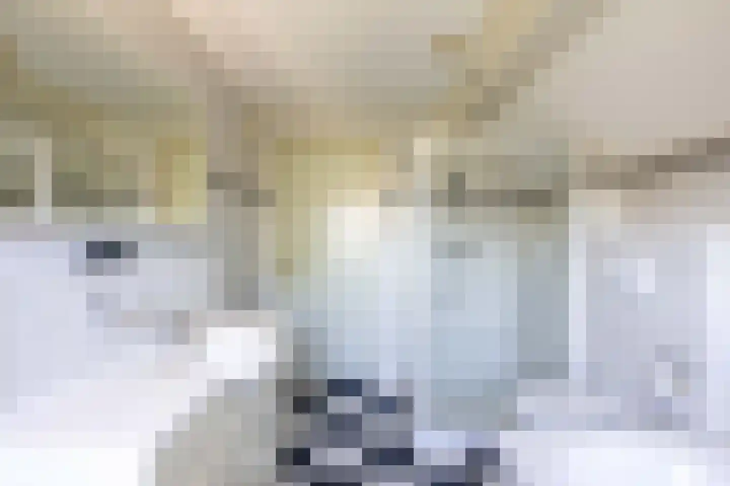 Kuiperhof 5 Wanssum thumbnail 29