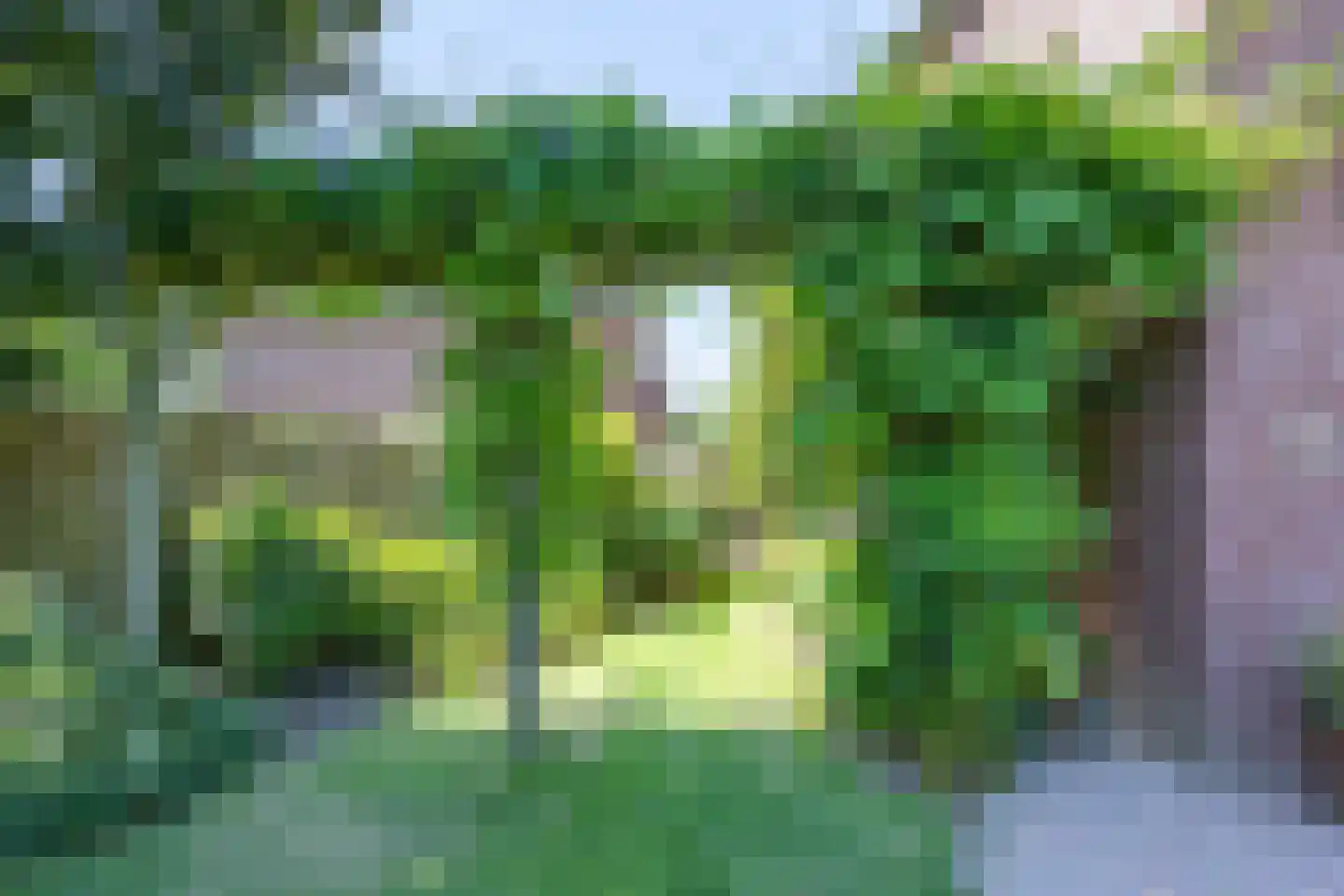 Kuiperhof 5 Wanssum thumbnail 41