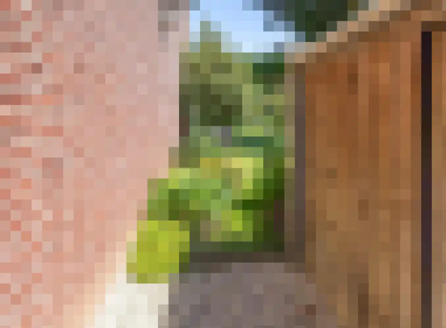 Kuiperhof 5 Wanssum thumbnail 43