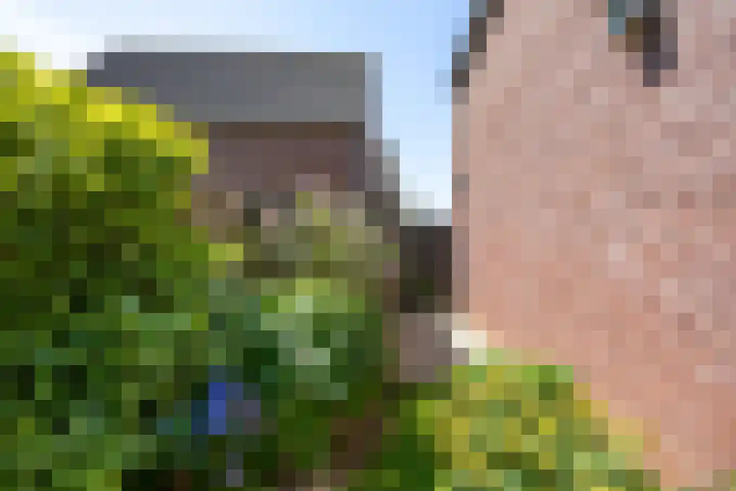 Kuiperhof 5 Wanssum thumbnail 45