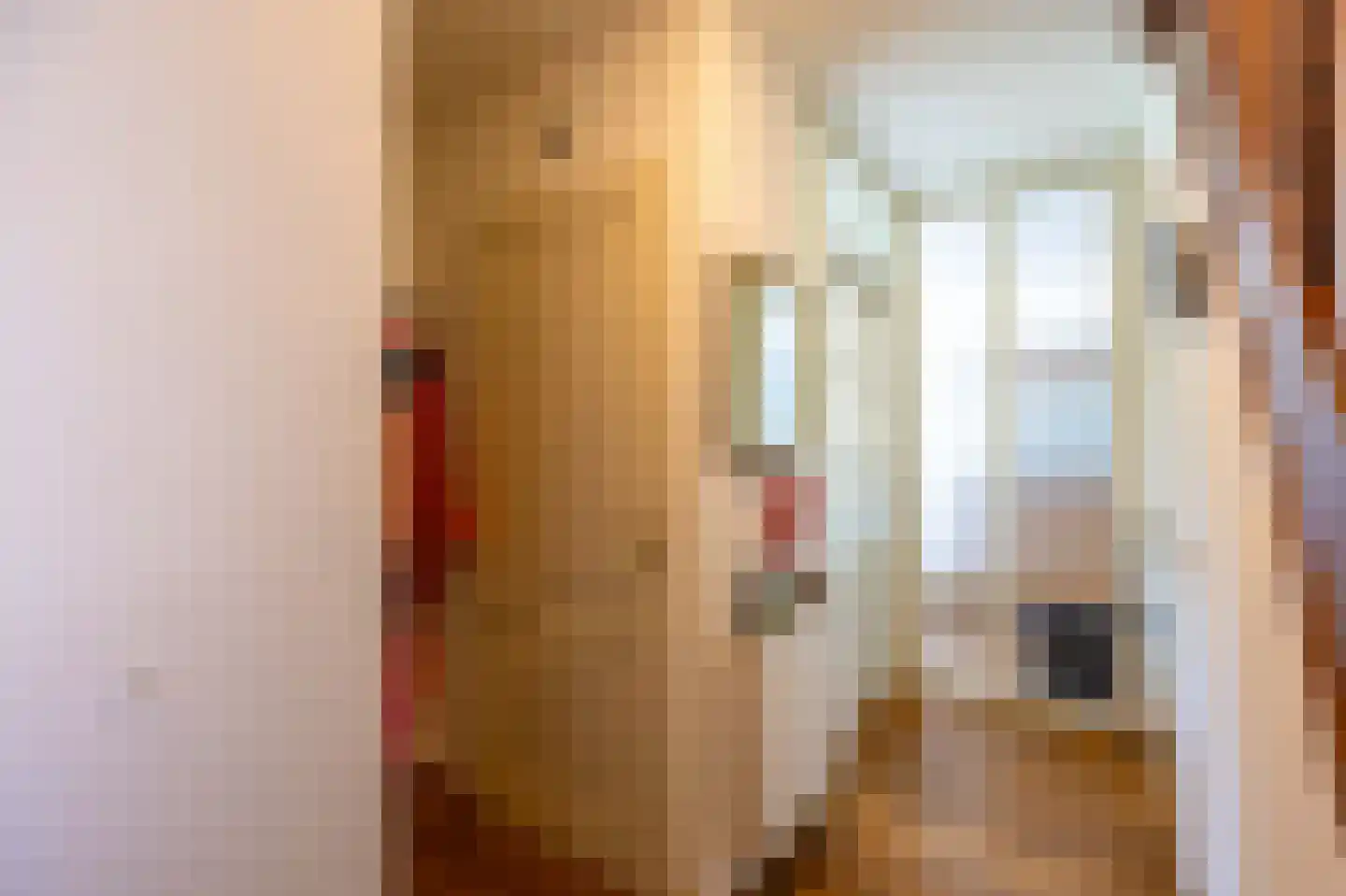 Kuiperhof 5 Wanssum thumbnail 8
