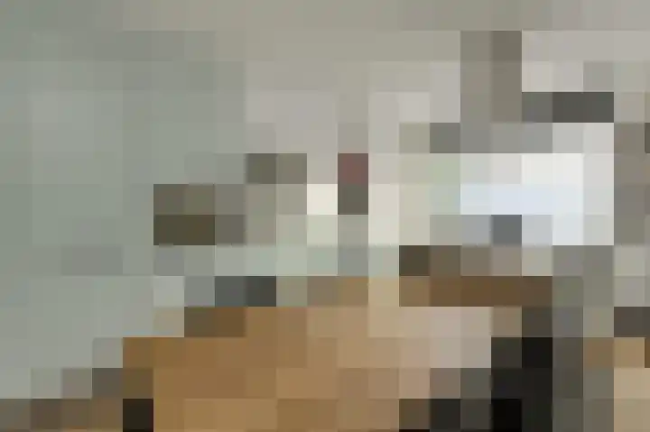 Kuiperijhof 7 Oosterhout thumbnail 11