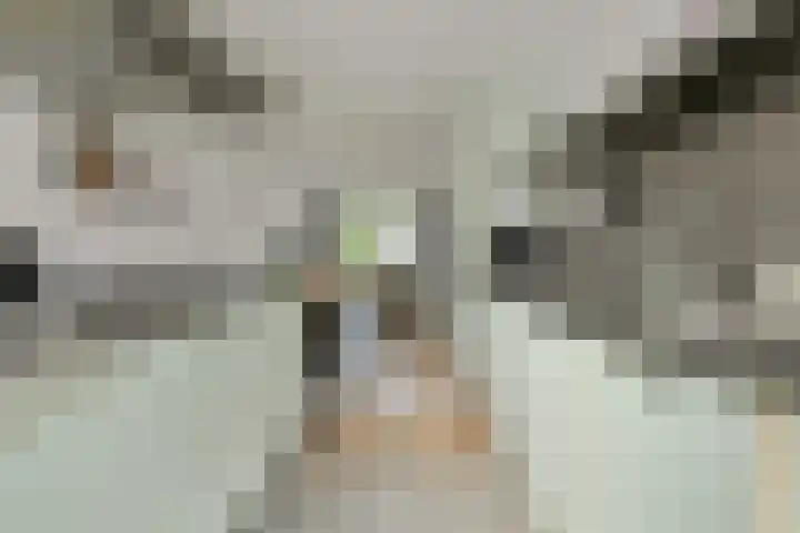 Kuiperijhof 7 Oosterhout thumbnail 14
