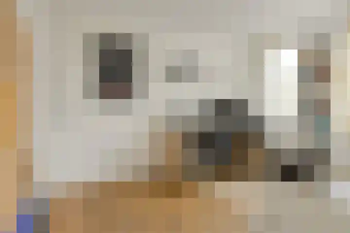 Kuiperijhof 7 Oosterhout thumbnail 24