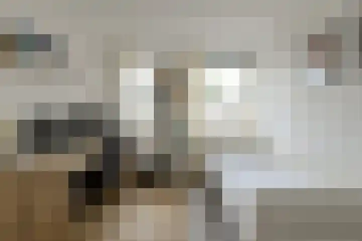 Kuiperijhof 7 Oosterhout thumbnail 25