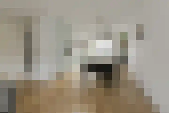 Kuiperijhof 7 Oosterhout thumbnail 9