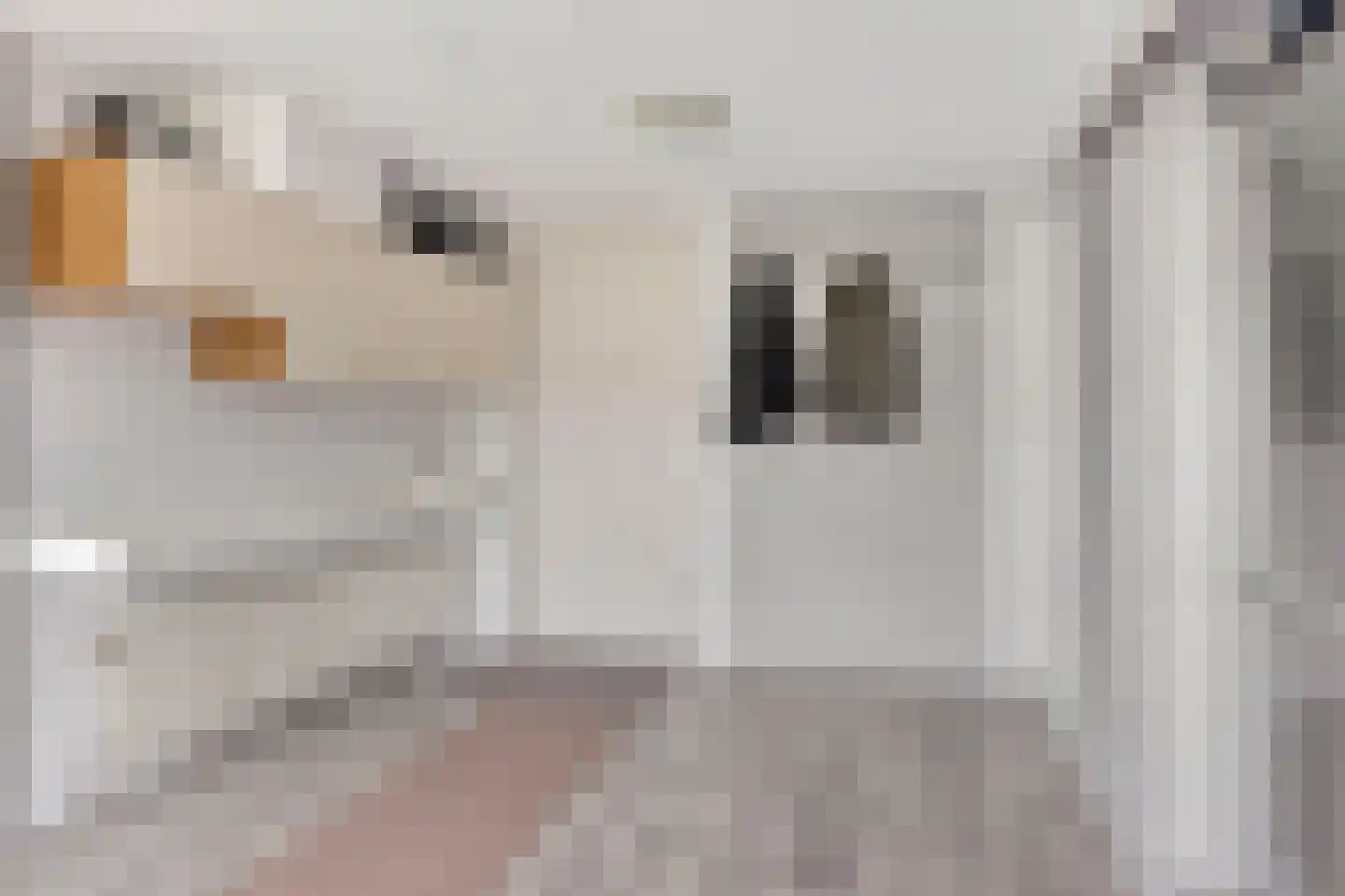 Kuiperijstraat 1 Rossum thumbnail 11