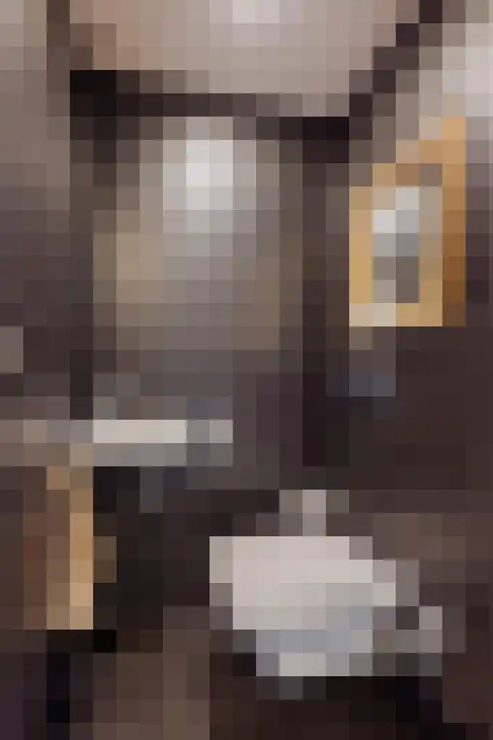 Kuiperijstraat 20 Raamsdonksveer thumbnail 12