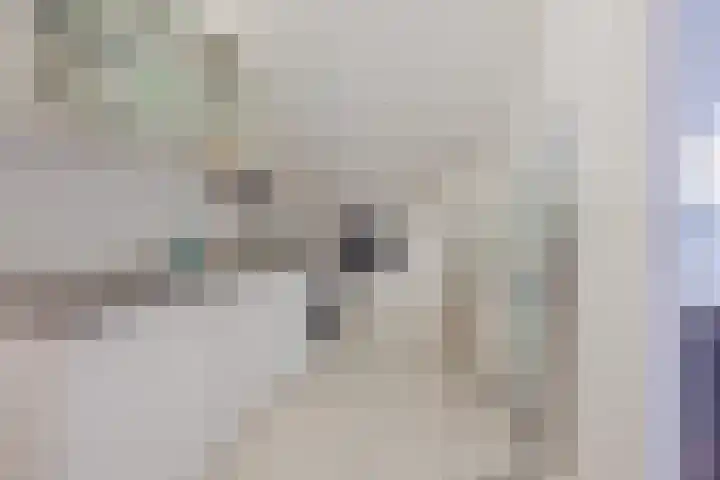 Kuiperijstraat 20 Raamsdonksveer thumbnail 29