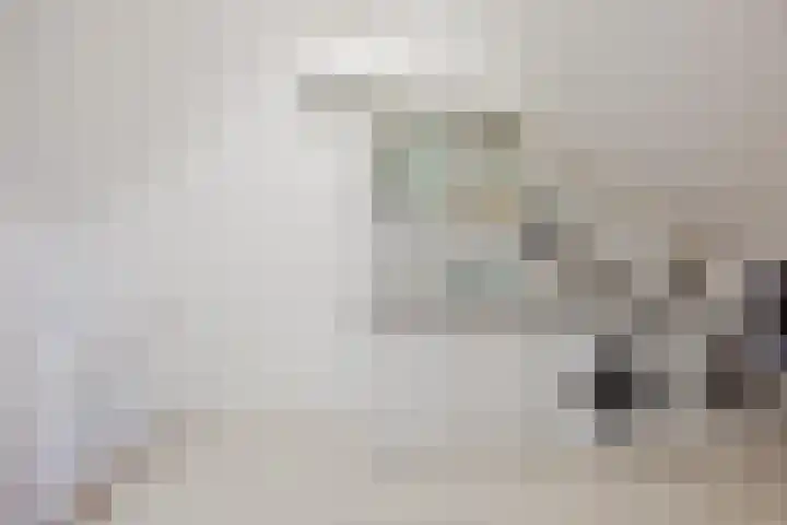 Kuiperijstraat 20 Raamsdonksveer thumbnail 31