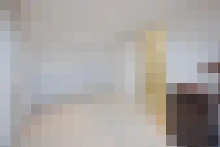 Kuiperijstraat 20 Raamsdonksveer thumbnail 33