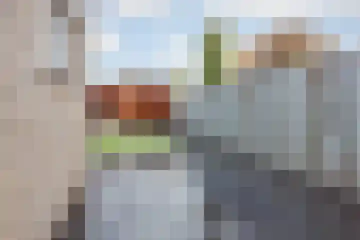 Kuiperijstraat 20 Raamsdonksveer thumbnail 36