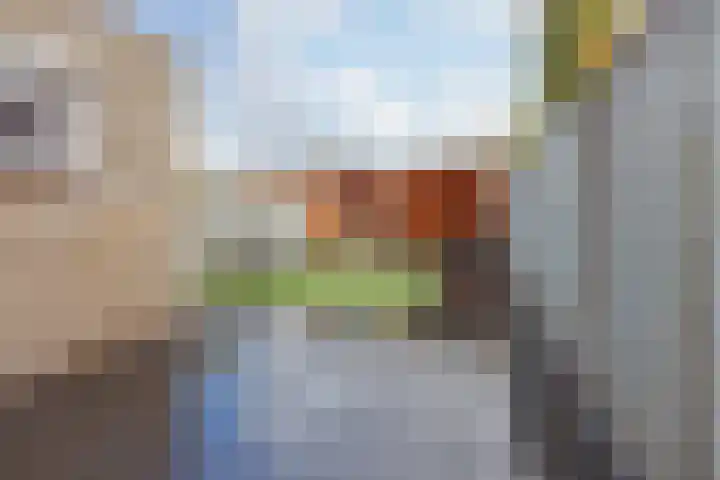 Kuiperijstraat 20 Raamsdonksveer thumbnail 37