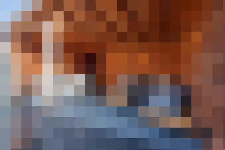 Kuiperijstraat 20 Raamsdonksveer thumbnail 5