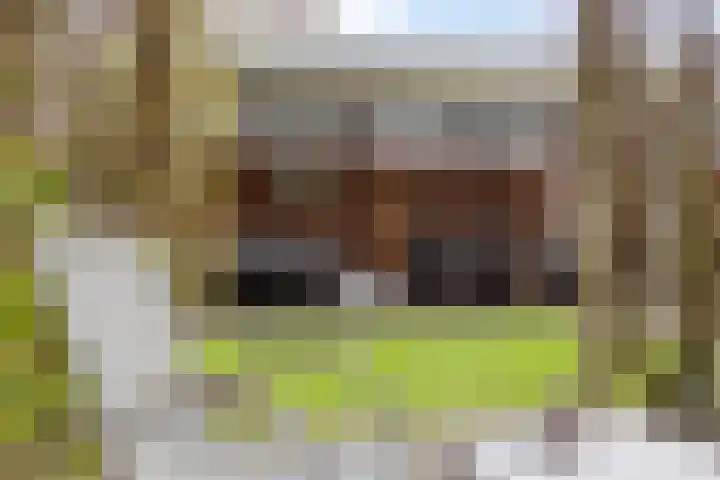 Kuiperijstraat 3 Rossum thumbnail 23