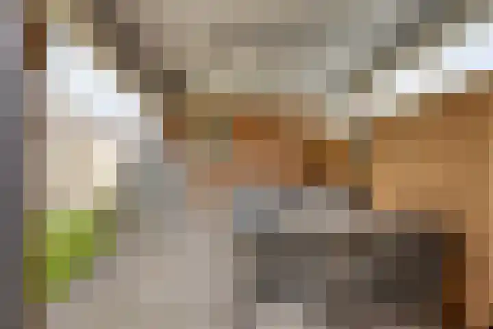 Kuiperijstraat 3 Rossum thumbnail 24