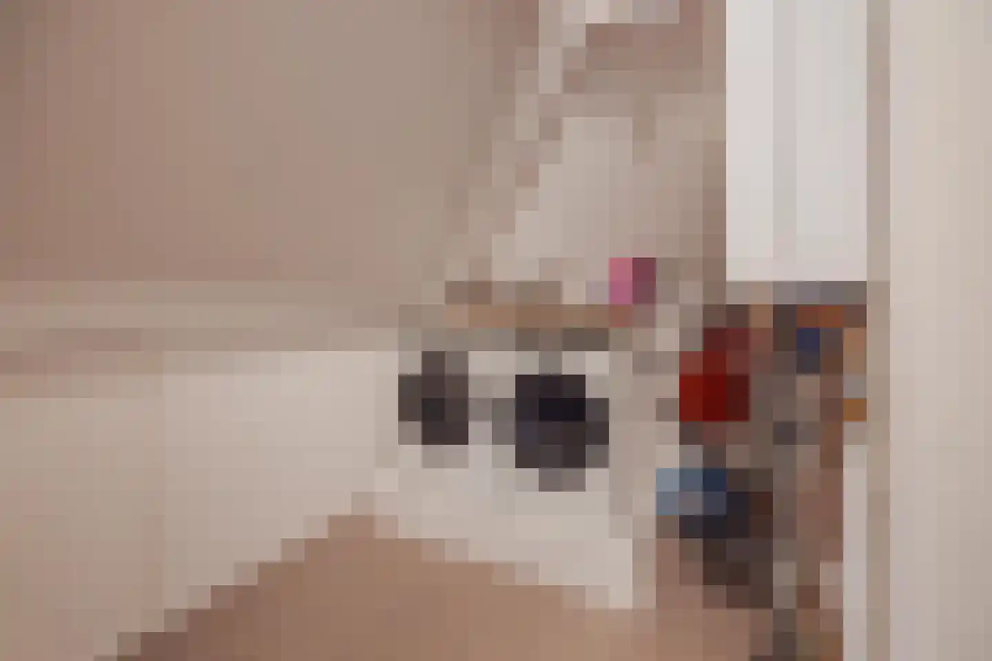 Kuiperijstraat 7 Raamsdonksveer thumbnail 34