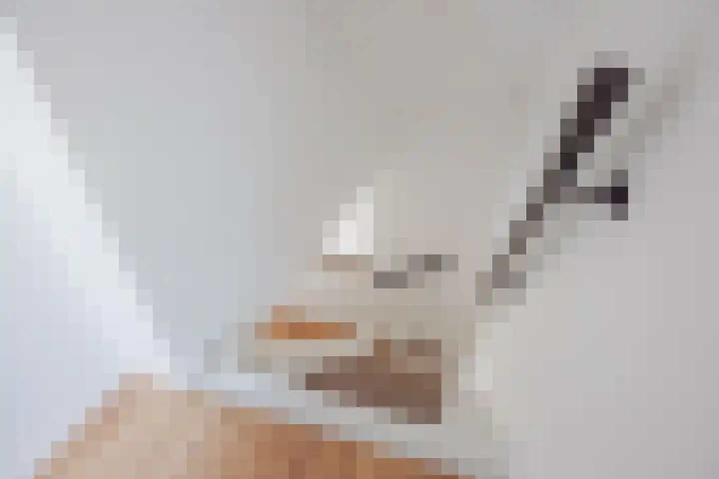 Kuiperijstraat 7 Raamsdonksveer thumbnail 37