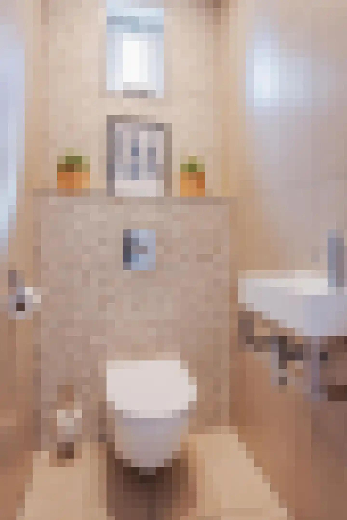 Kuiperijstraat 7 Raamsdonksveer thumbnail 9