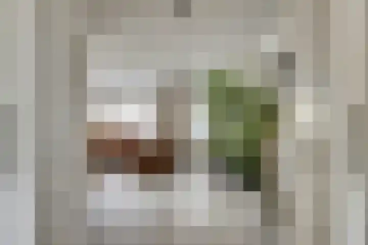 Kuiperijstraat 9 Raamsdonksveer thumbnail 10