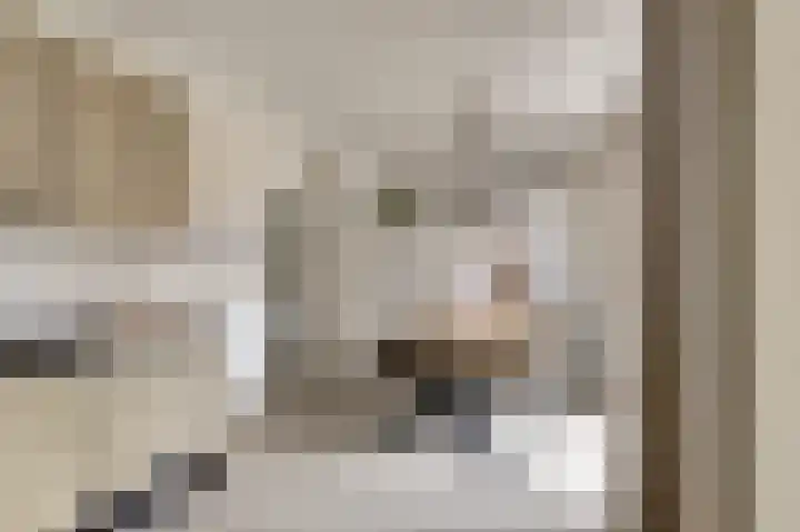 Kuiperijstraat 9 Raamsdonksveer thumbnail 11