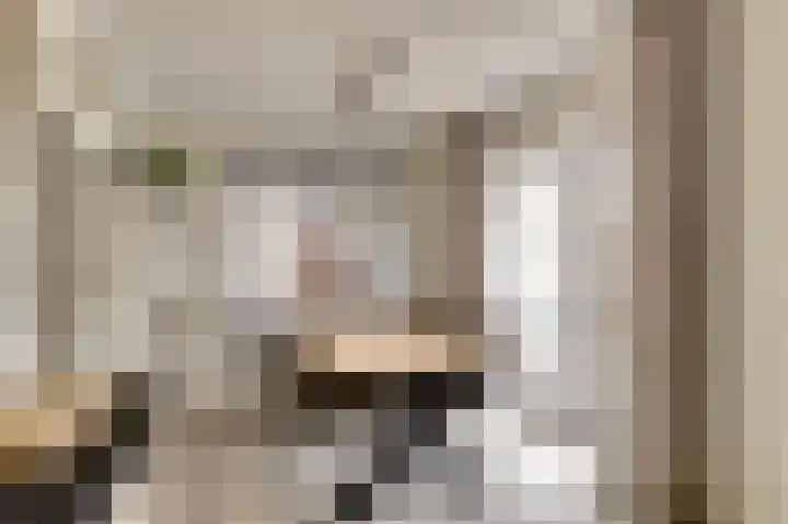 Kuiperijstraat 9 Raamsdonksveer thumbnail 12