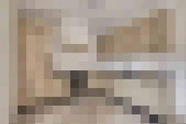 Kuiperijstraat 9 Raamsdonksveer thumbnail 13