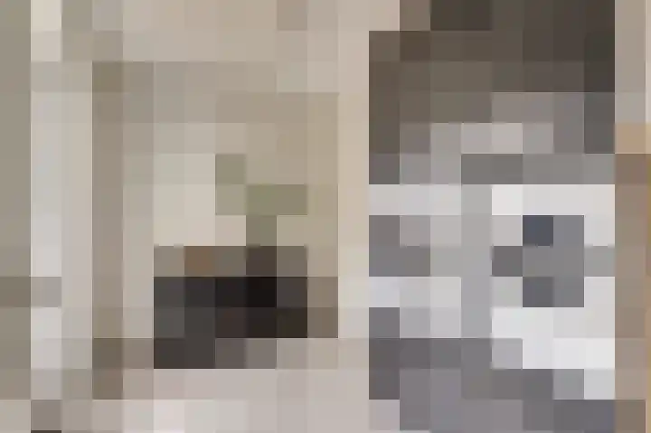 Kuiperijstraat 9 Raamsdonksveer thumbnail 16