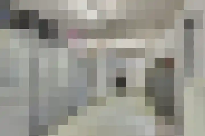 Kuiperijstraat 9 Raamsdonksveer thumbnail 18