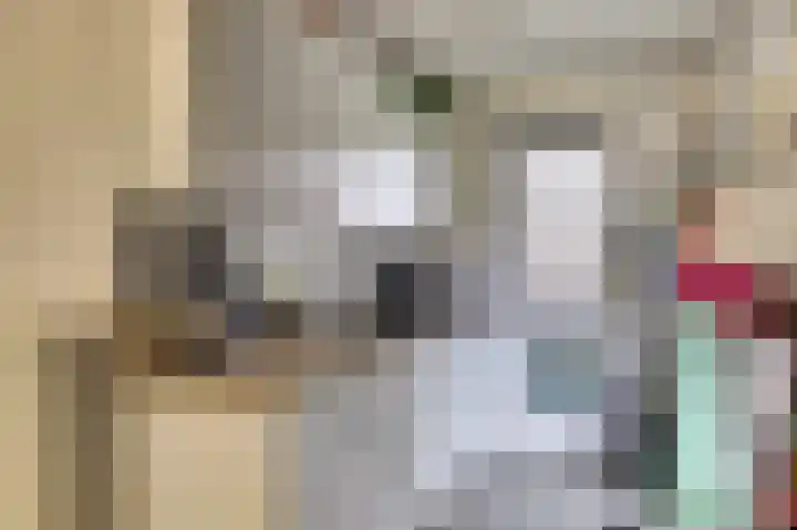 Kuiperijstraat 9 Raamsdonksveer thumbnail 20