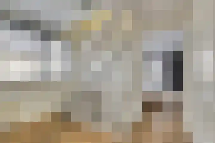 Kuiperijstraat 9 Raamsdonksveer thumbnail 22