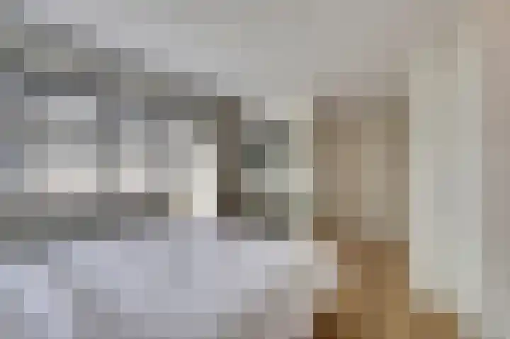 Kuiperijstraat 9 Raamsdonksveer thumbnail 23