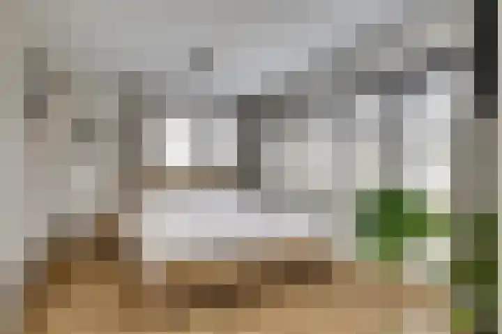 Kuiperijstraat 9 Raamsdonksveer thumbnail 24