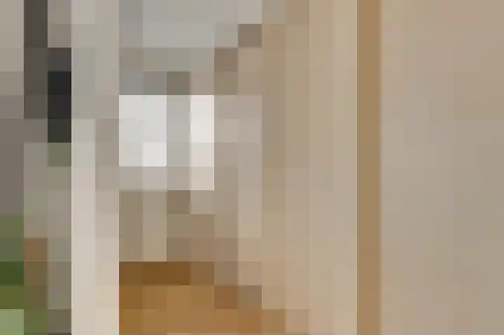 Kuiperijstraat 9 Raamsdonksveer thumbnail 26