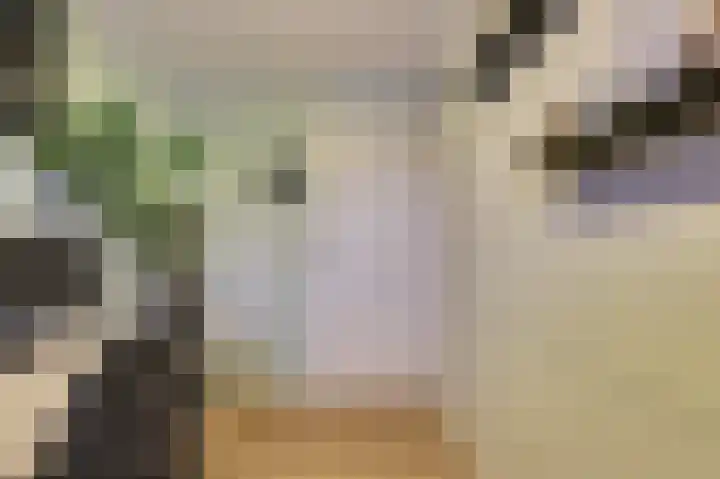 Kuiperijstraat 9 Raamsdonksveer thumbnail 29