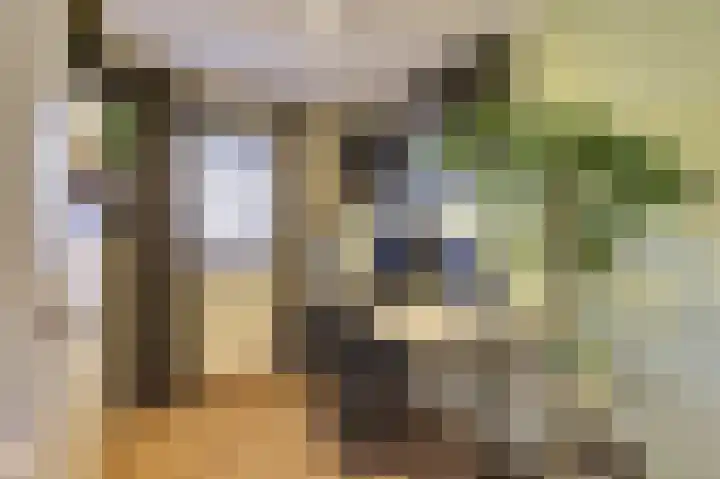 Kuiperijstraat 9 Raamsdonksveer thumbnail 30